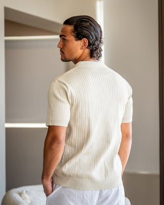 RL l Polo a righe premium